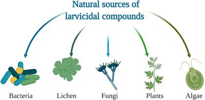 Naturally Occurring Compounds With Larvicidal Activity Against Malaria Mosquitoes